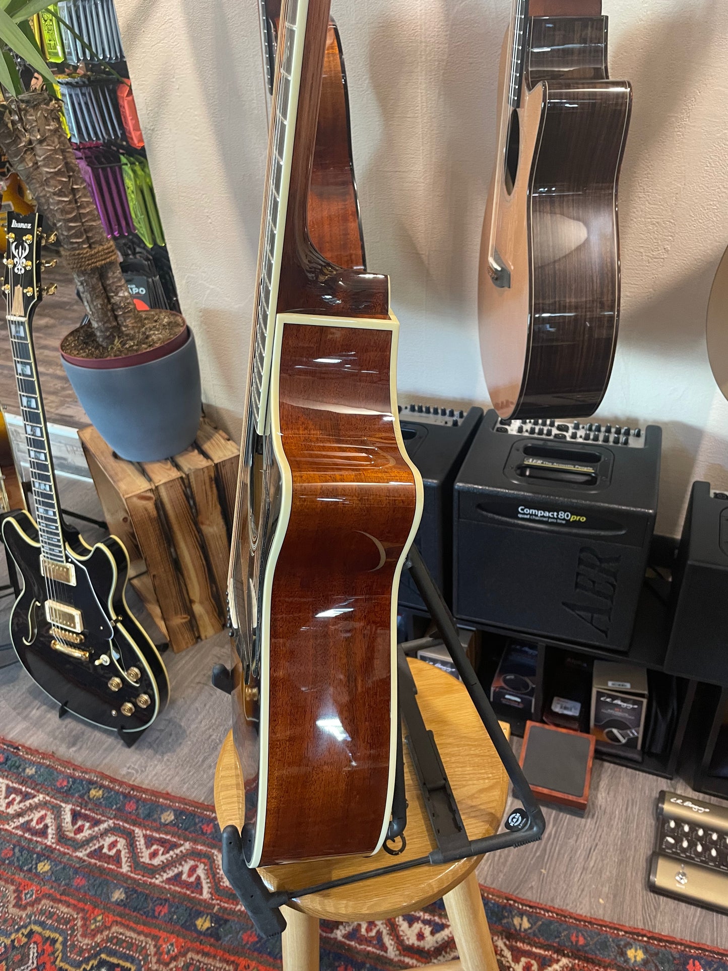 Eastman, AC 308 LTD Sunburst