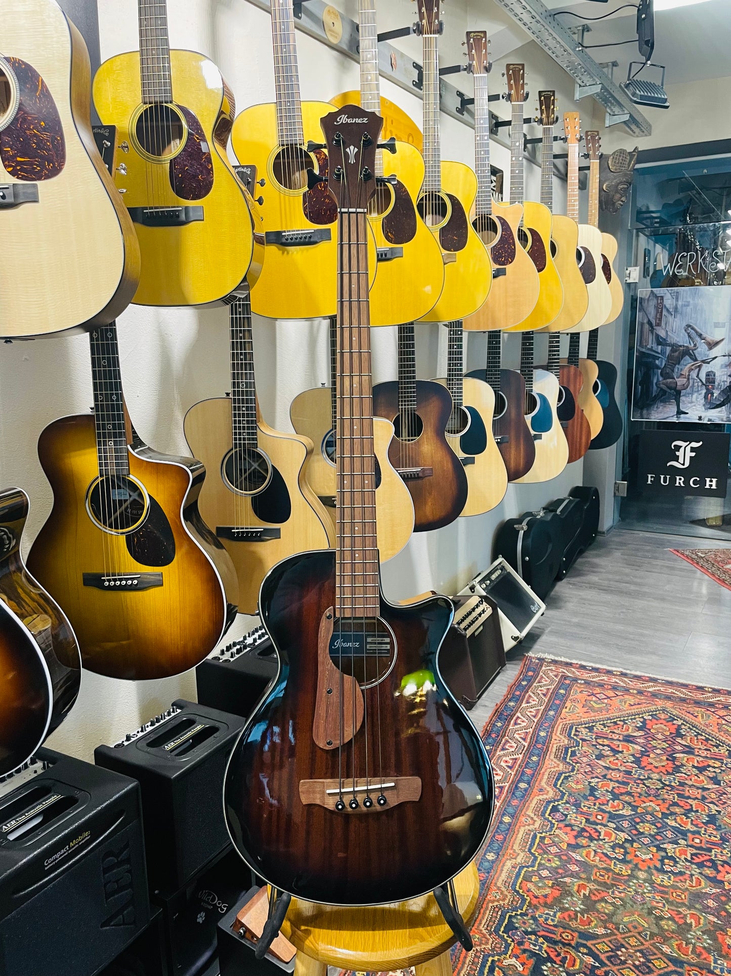 Ibanez, AEGB 24 E