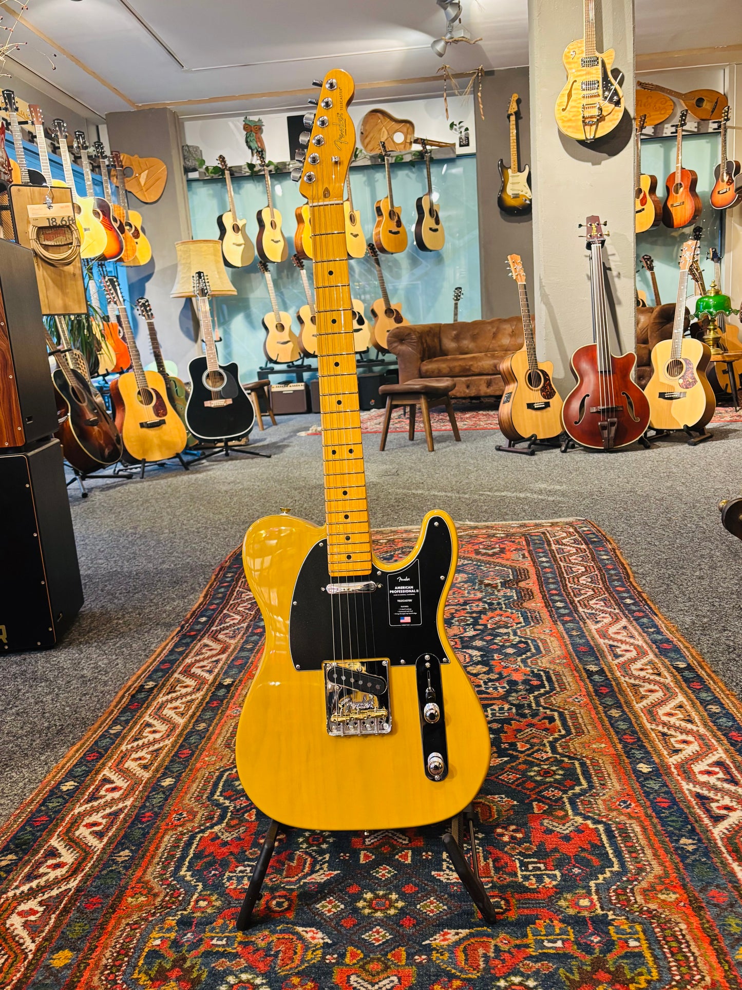 Fender Am Prof. II Tele